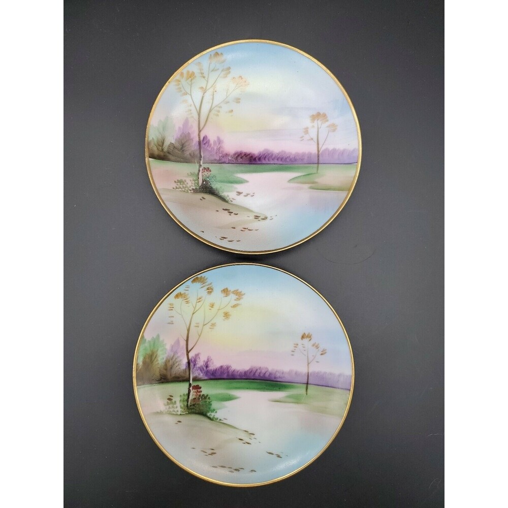 Meito China Hand Painted Decorative Japanese Plates 2 NICE Vintage Collectible